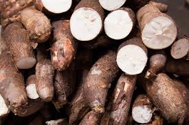 Fresh Cassava (Yuca Root)