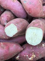Red Sweet Potato