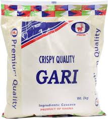 Praise Gari