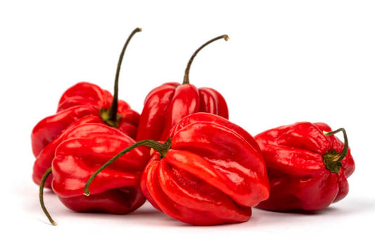 Fresh Africa Red Pepper