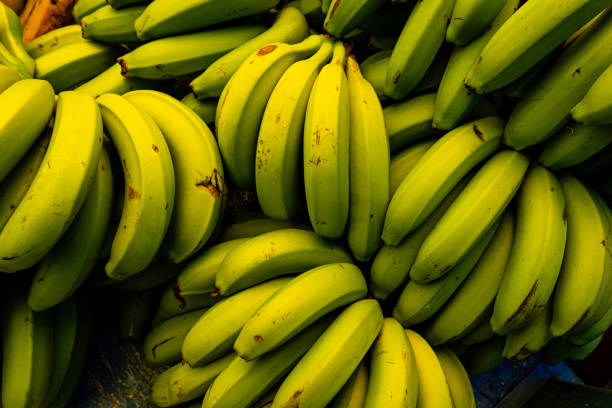 Green Plantains (Unripe Plantains)